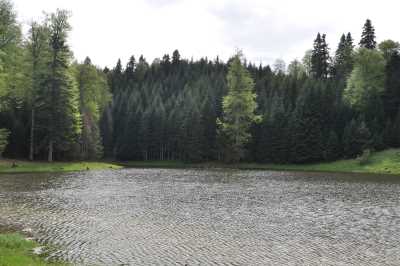 Torkul Yaylası ve Göleti